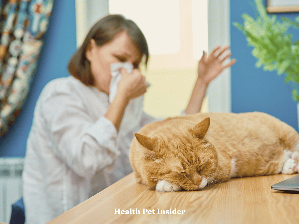 Cat allergy illustration