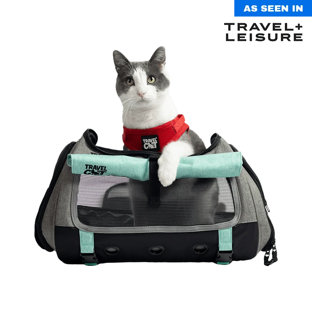 Travel Cat The Transpurrter Convertible Cat Carrier with a cat peeking out