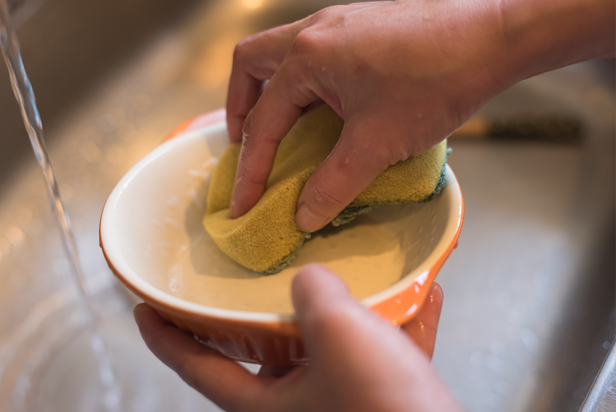 Hands washing a pet bowl with a sponge under running water