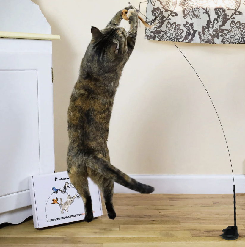 Interactive Bird Simulation Cat Toy Set
