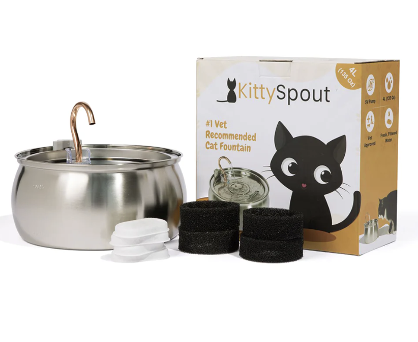 KittySpout Stainless Water Fountain
