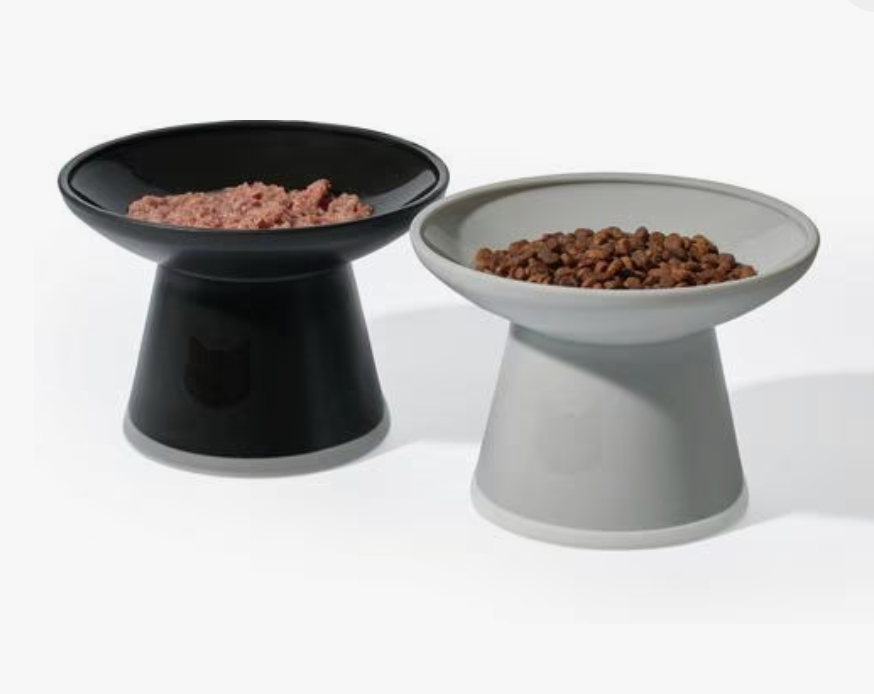 Necoichi Extra Wide Raised Basic Bowl